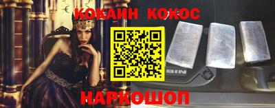 гашик Моздок