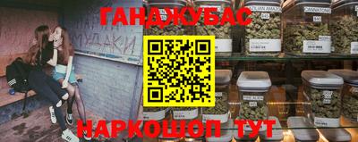 гашик Моздок
