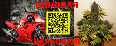 гашик Моздок