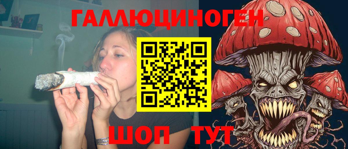 Сухой Лог  Псилоцибиновые грибы Psilocybe  Галлюциногенные грибы прущие грибы  Вход с VPN 